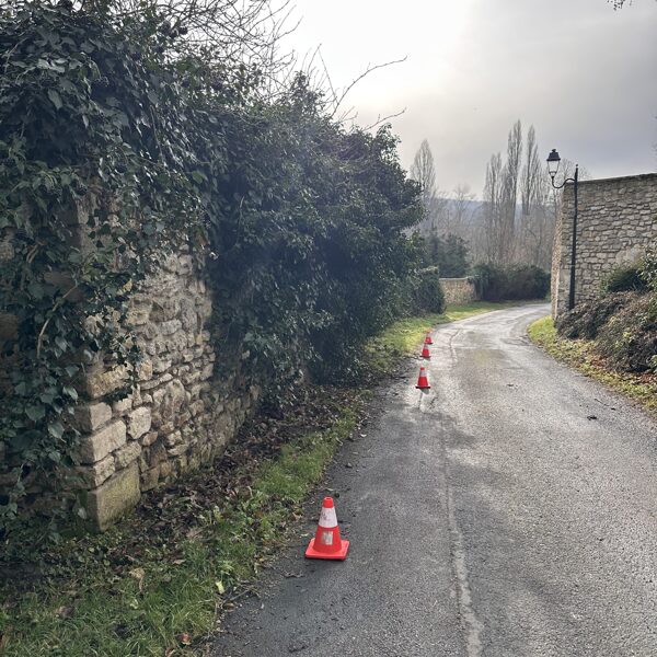 Hedge/wall cutting Hederas.