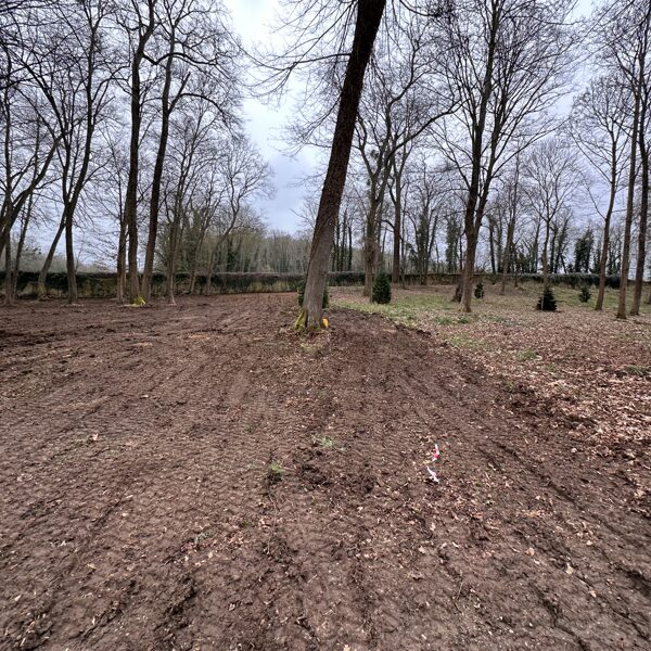 Report on ground works 06-02-2025