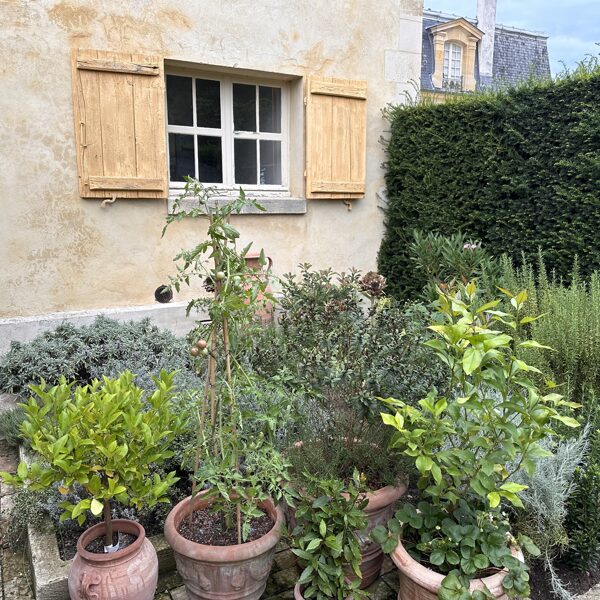 Kitchen garden & pool