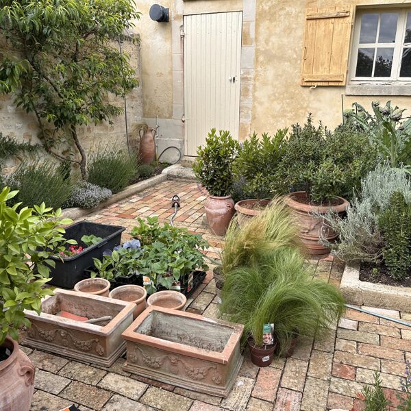 Renovation avec legumes 17-05-2025
