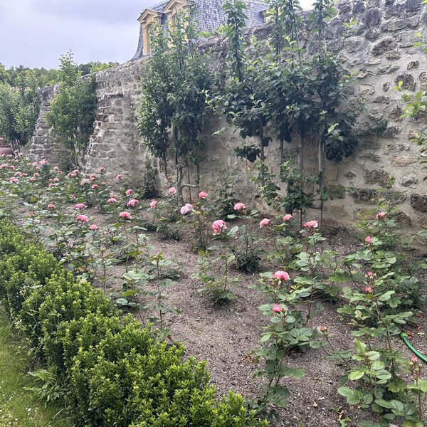 Rosariums 04-06-2025