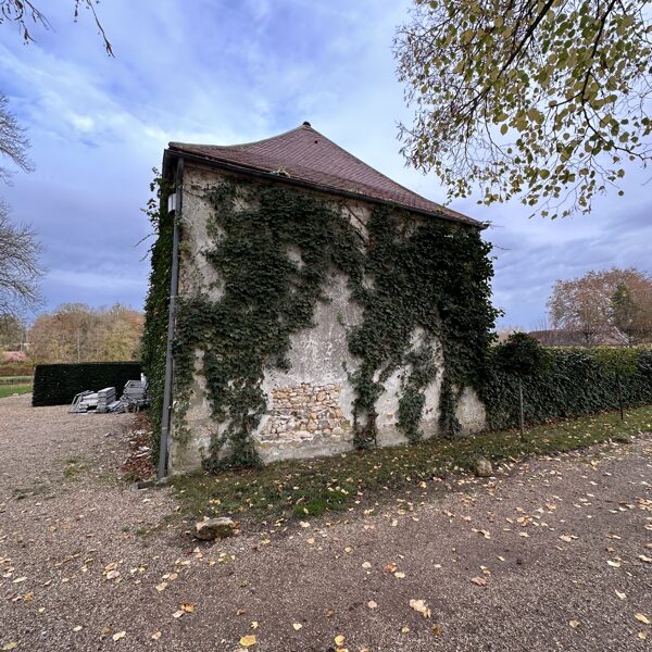 Efeju griesana 12112025