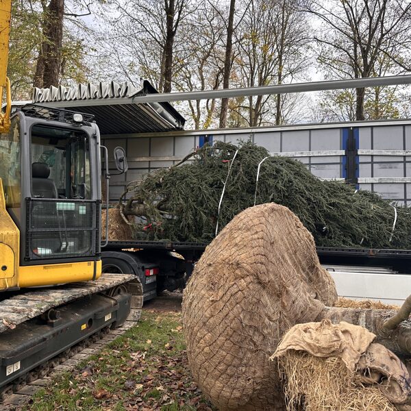 Grand plantings 11/12-2025