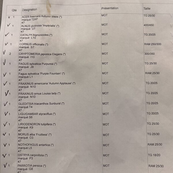 Grand plantings 12-2025 Thuilleaux