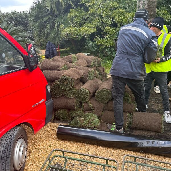 Roll lawns 25-02-2025
