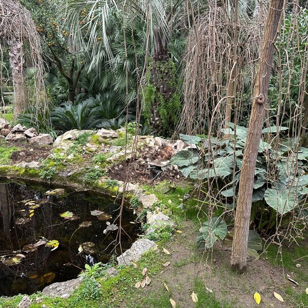 2025-01 Pond area - stone structure