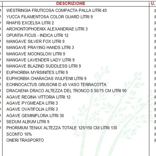 June plantings 2025