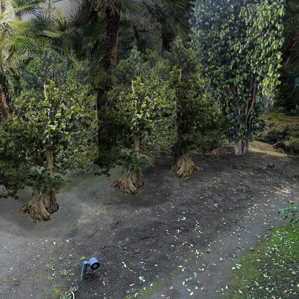 Visualisation of plants for Torre 02-2025