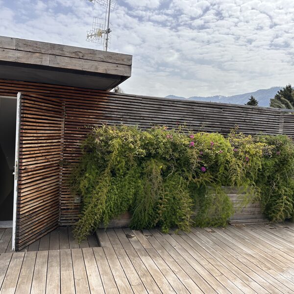 Rooftop VA 26-03-2025
