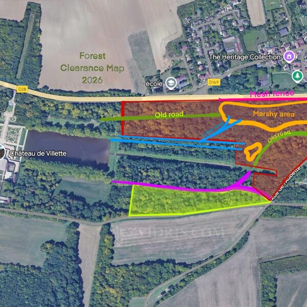 Wood cleaning plan for 2026