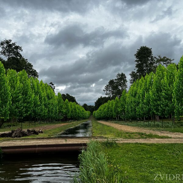 Canal