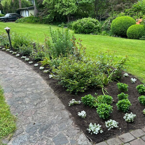 06-06-2025