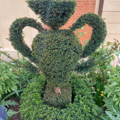 Versailles topiary