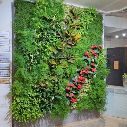 Green wall Bulduri Horticultural school 2022