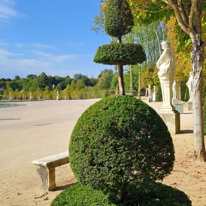 Topiaries of Versailles