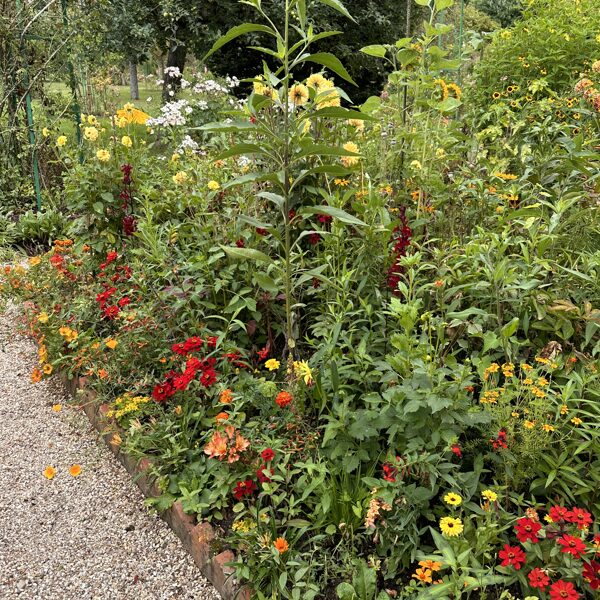 Monet jardin - Giverny 07-2024