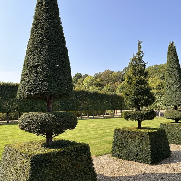 Topiaries of Champ de Bataille