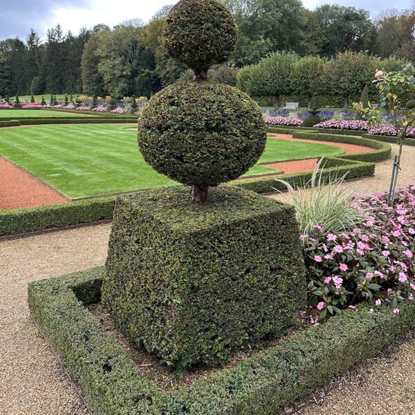 Topiaries of Chateau de Maintenon