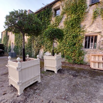 Versaille garden tree boxes