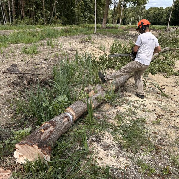 Wood cutting