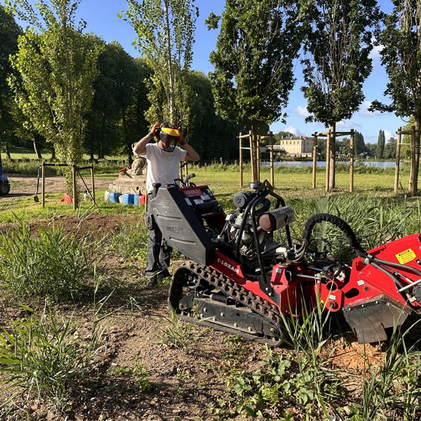 Stump cutting