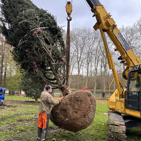 Loading/unlaoding, heavy duty works