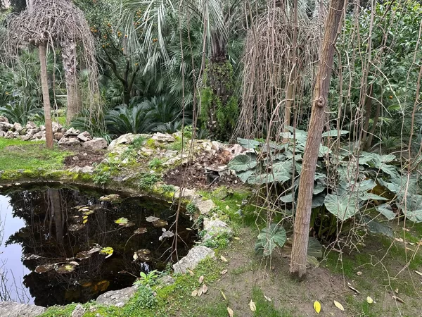 2025-01 Pond area - stone structure