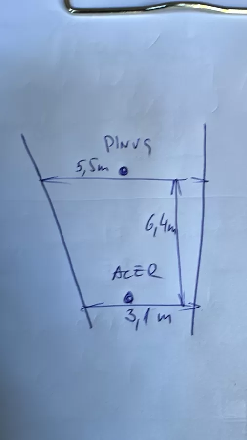 Additional photos to triangle and fruit zones