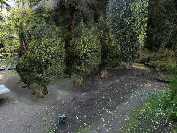 Visualisation of plants for Torre 02-2025