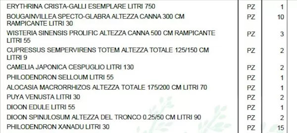Medium tree plantings 07-11-2024
