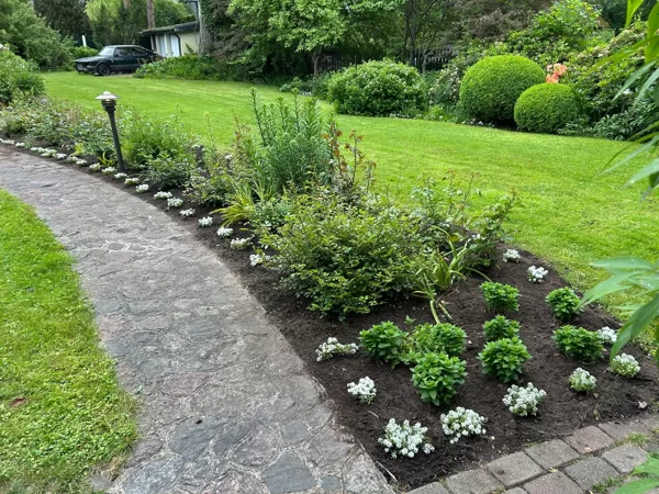 06-06-2025