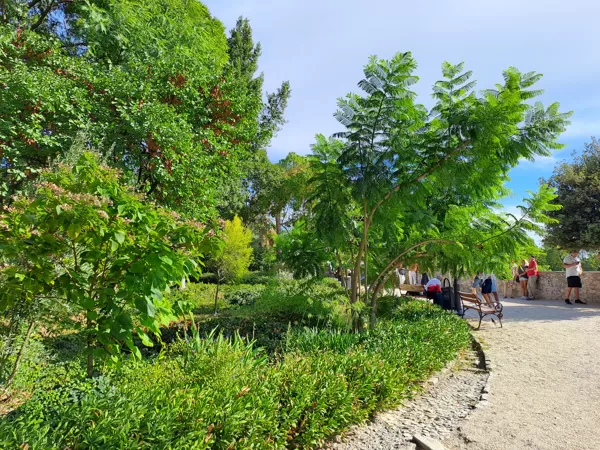 Queen Jelena Madijevka Park
Perivoj Kraljice Jelene Madijevke - 976

Old town Zadar, Croat