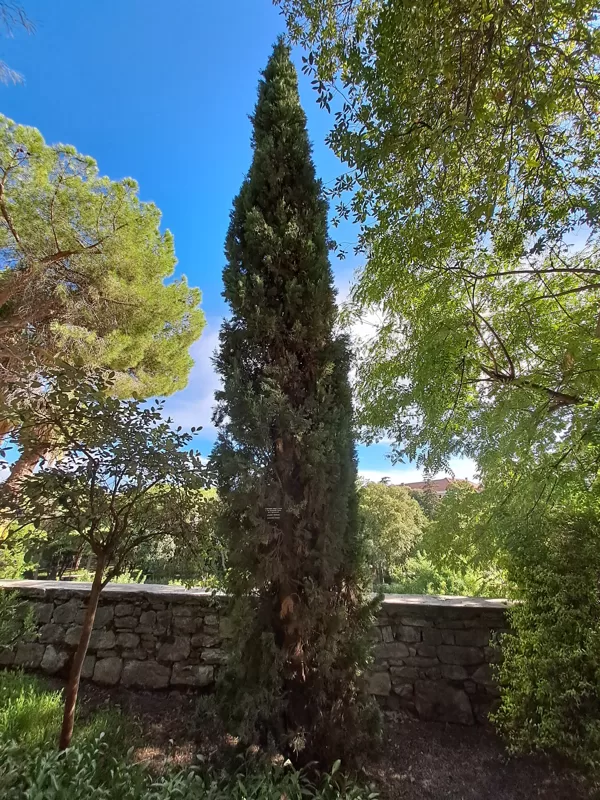 Queen Jelena Madijevka Park
Perivoj Kraljice Jelene Madijevke - 976

Old town Zadar, Croat