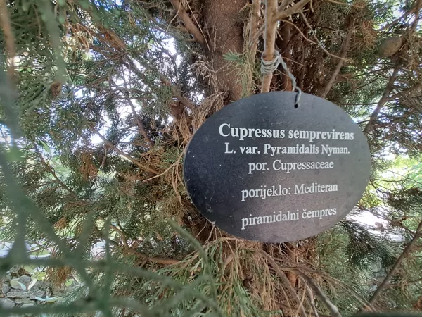 Queen Jelena Madijevka Park
Perivoj Kraljice Jelene Madijevke - 976

Old town Zadar, Croat