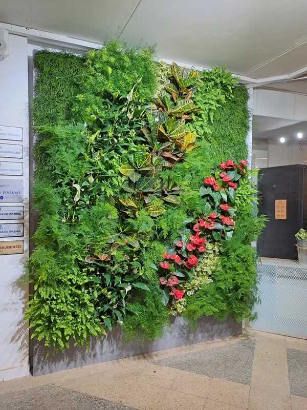 Green wall Bulduri Horticultural school 2022