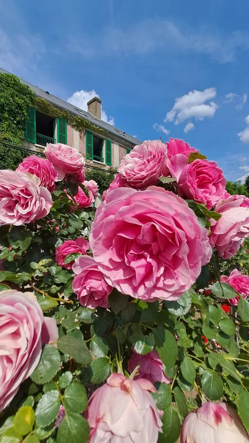 Jardin de Claude Monet