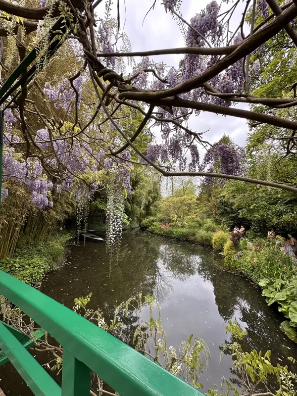 Lily pond - Givenry Monet garden