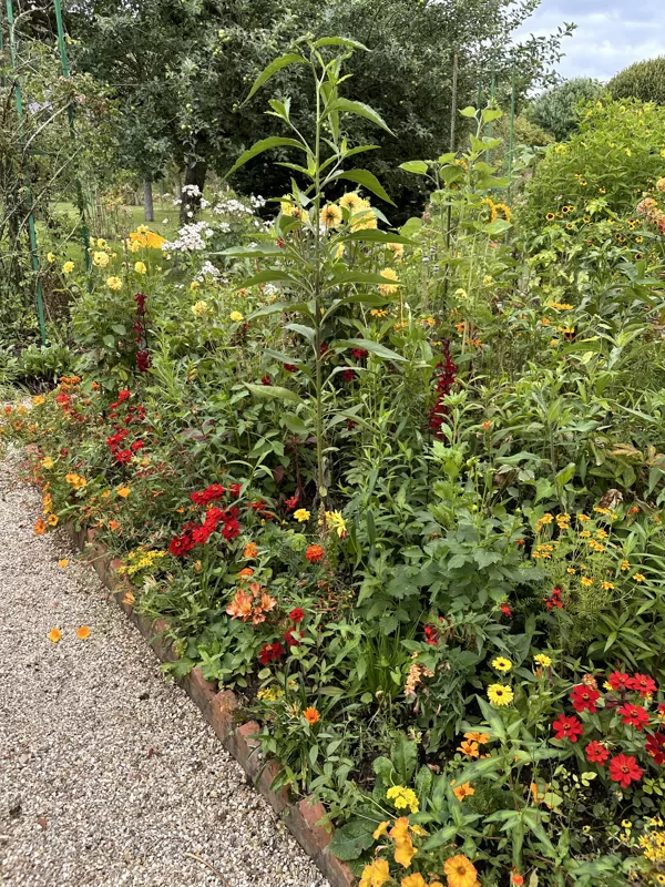 Monet jardin - Giverny 07-2024