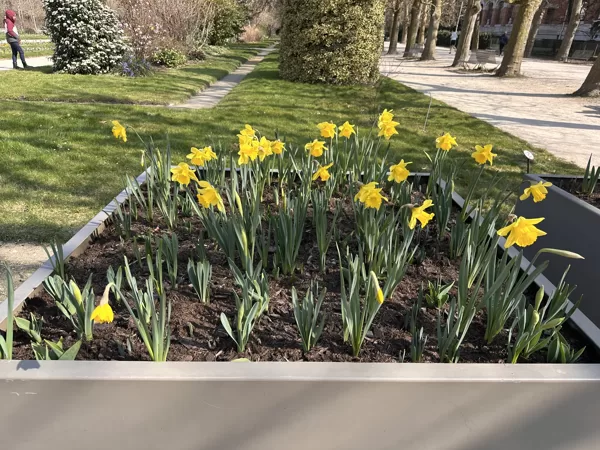 Jardin des plantes 03-2025