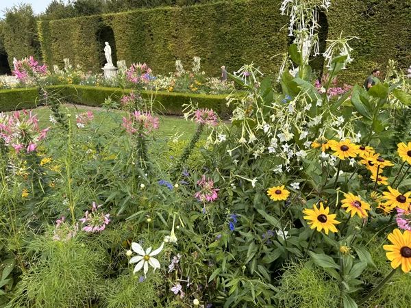 Versailles - flower beds 08-2024