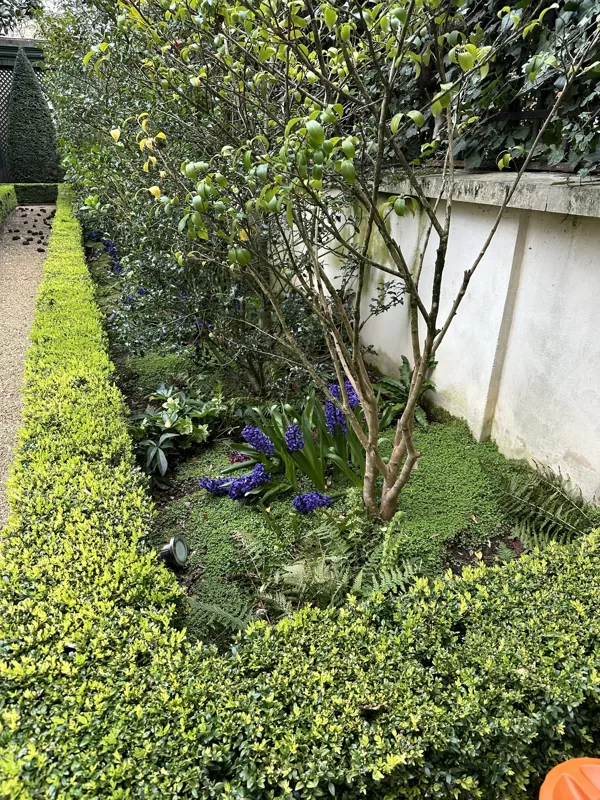Private garden 25032024