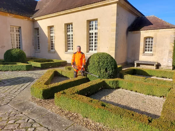 Clipping buxus in french regular garden