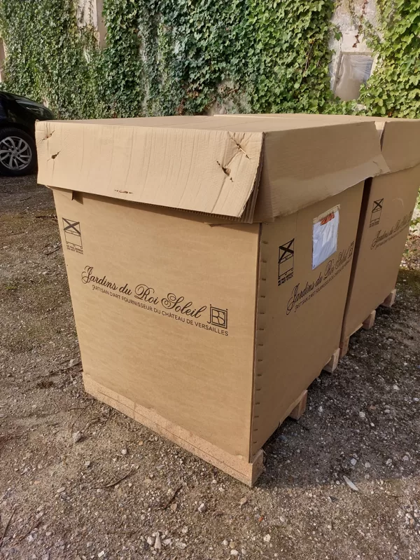 Versaille tree boxes