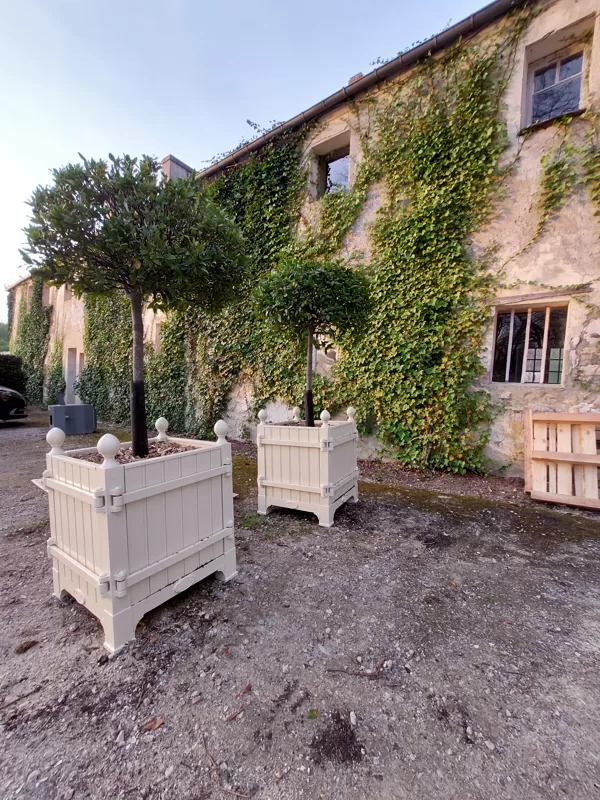 Versaille garden tree boxes
