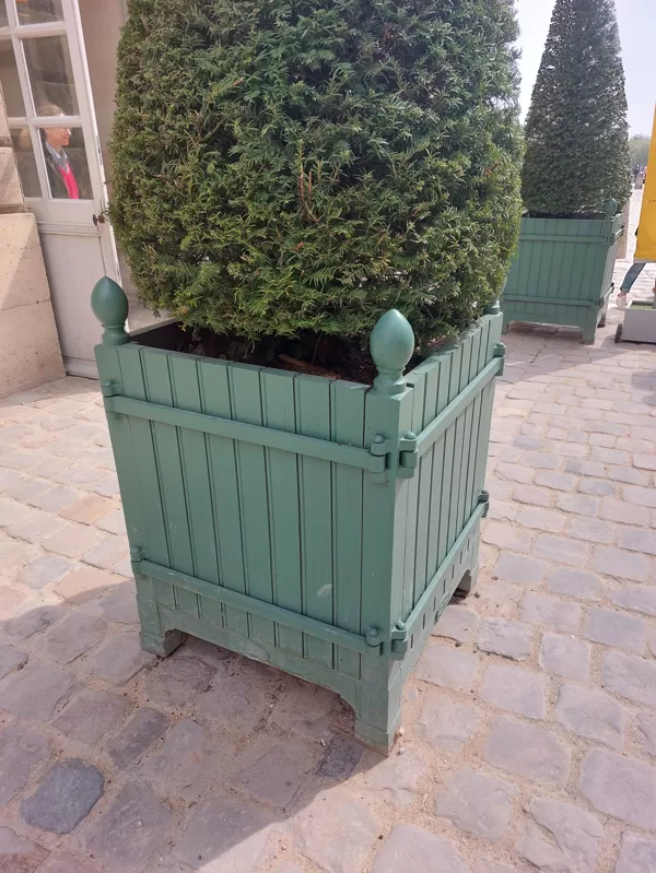 Chateau de Versailles - Le Roi Soleil  - tree boxes