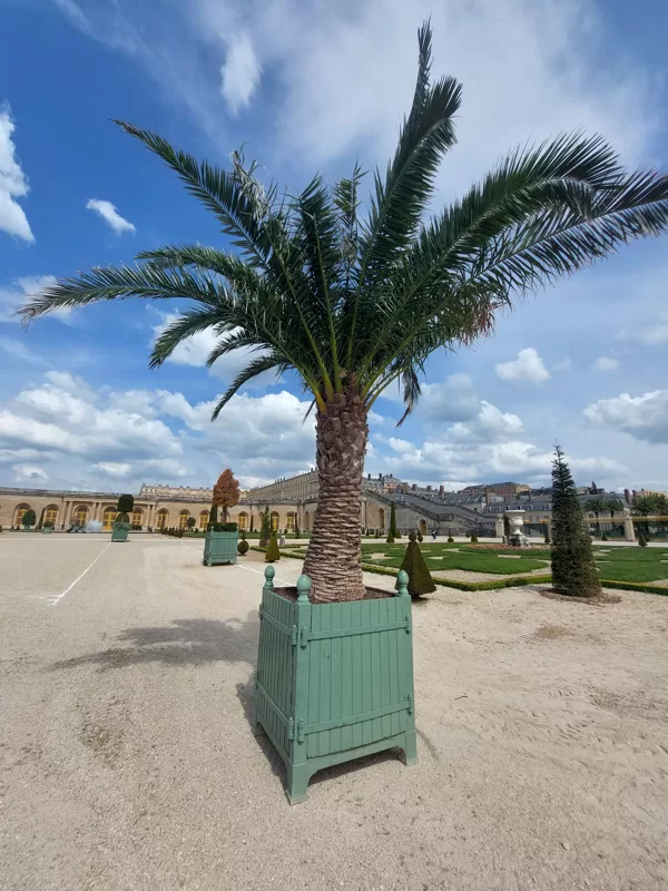 JARDINS DU ROI SOLEIL produces and markets the Château de Versailles orange-tree box, a pa