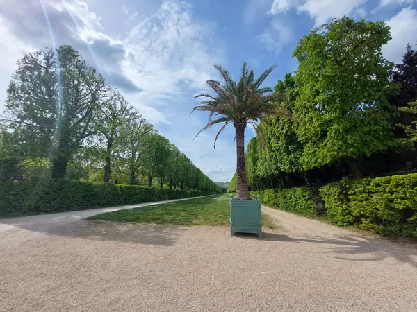 JARDINS DU ROI SOLEIL produces and markets the Château de Versailles orange-tree box, a pa