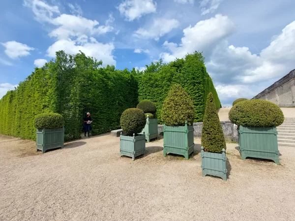 JARDINS DU ROI SOLEIL produces and markets the Château de Versailles orange-tree box, a pa