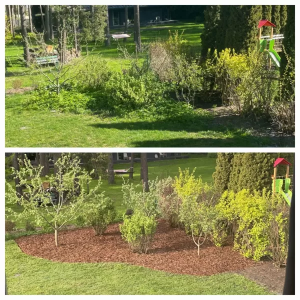 Before and after