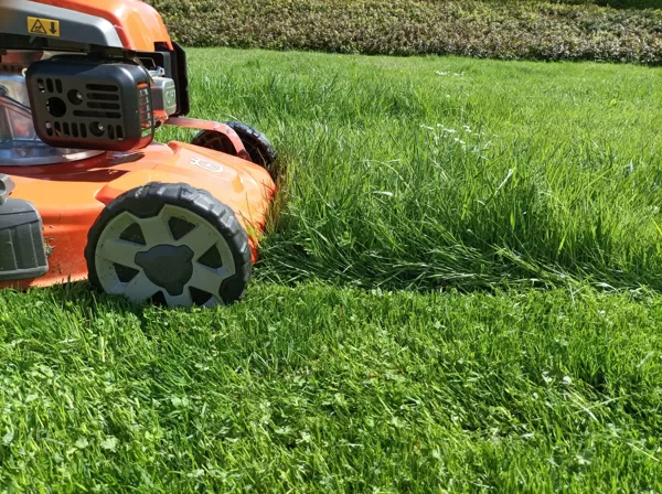 Lawn care